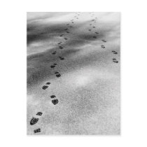 Footprints in Snow postcards