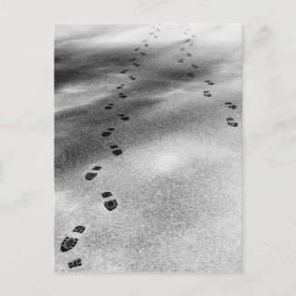 Footprints in Snow