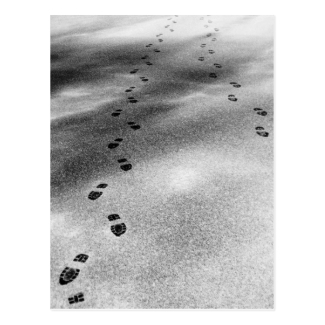 Footprints in Snow