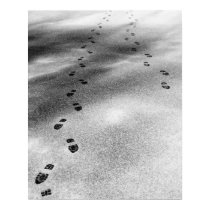 Footprints in Snow posters