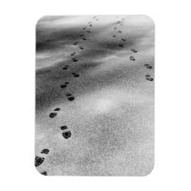 Footprints in Snow magnets