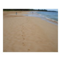 Footprints in the Sand
