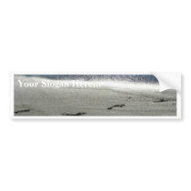 Footprints In The Sand bumper stickers by lifesphere Footprints In The Sand bumper stickers