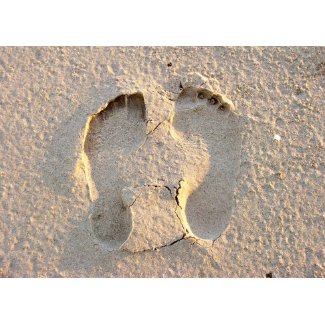 Footprints in the sand