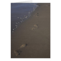 Footprints in the sand greeting cards