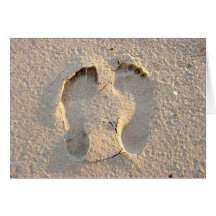 Footprints in the sand greeting cards