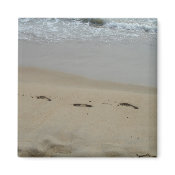 Footprints in the sand Magnet magnet