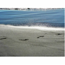 Footprints In The Sand photo sculptures by lifesphere Footprints In The Sand photo sculptures