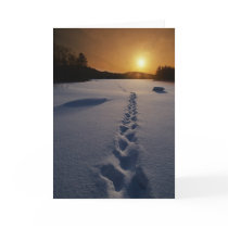 Footprints In the Snow blank note card by MadLizzy Footprints In the Snow blank note card