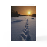 Footprints In the Snow blank note card