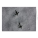 Footprints in the snow cards