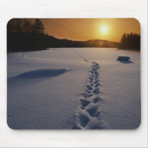 Footprints In the Snow mousepad