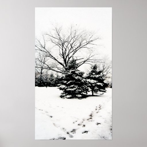 Footprints in the Snow Poster