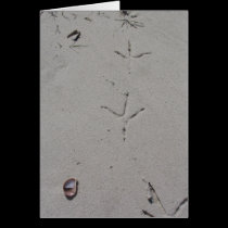 Footprints on a Sandy Beach cards