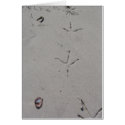 Footprints on a Sandy Beach cards