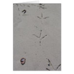 Footprints on a Sandy Beach cards