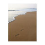 Footprints Postcards