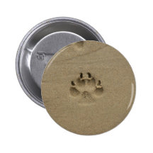 Footstep In Sand At France Pin