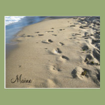 Footsteps on a sandy beach (Maine) postcards
