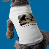 For a biscuit I will! pet clothing