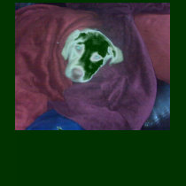 For Dawn t-shirts by mydoggieworld For Dawn t-shirts