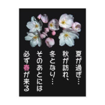 For fund-raising and Cherry blossoms, cherry tree Post Cards