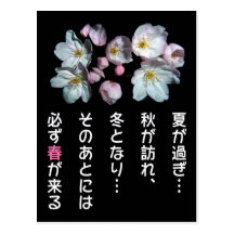 For fund-raising and Cherry blossoms, cherry tree Post Cards