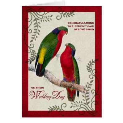 For Gay/Lesbian Couple on their Wedding Day Cards