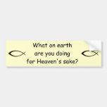 For Heaven's Sake Bumper Sticker