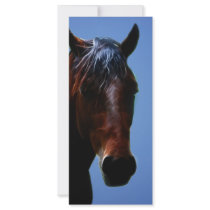 For Lucy rack cards by laureenr For Lucy rack cards