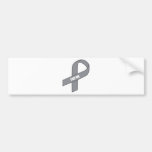 For Me (Gray / Silver Awareness Ribbon) Bumper Stickers