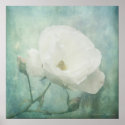 For my Love a Rose - Digitally Manipulated Photo print