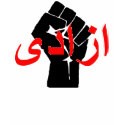 For Neda t-shirts