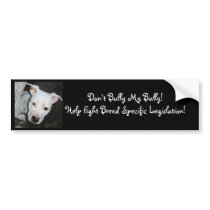 For Simona Bumper Stickers