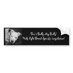 For Simona Bumper Stickers