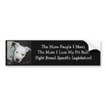 For Simona bumper sticker 2
