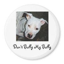 For Simona magnets by idebkiew For Simona magnets