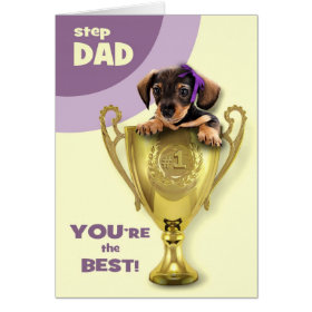 For Stepfather on Father's Day Greeting Cards
