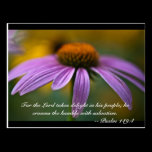 For the Lord takes delight in his people; he crown postcards