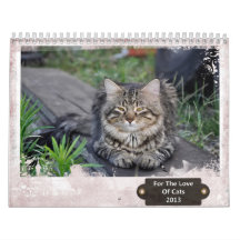 For The Love Of Cats 2013 Calendar
