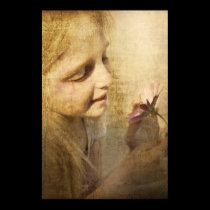 For the Love of Flowers posters