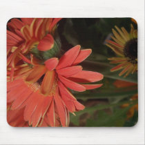 For the Love of Gerbera mousepads