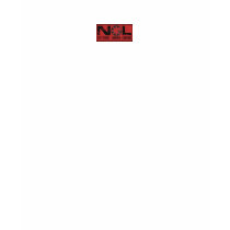 For the NGL Ladies t-shirts