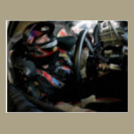 For The Racing Fan postcards