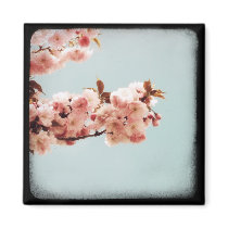 "For The Song Bird" Magnet by starlingphotos "For The Song Bird" Magnet