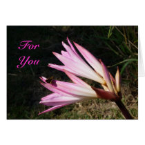 For You Cards