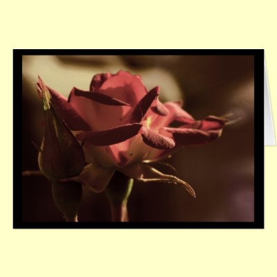 For you card by Rainmountain