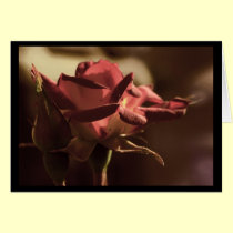 For you cards by Rainmountain For you cards