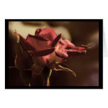 For you card