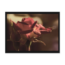 For you postcards